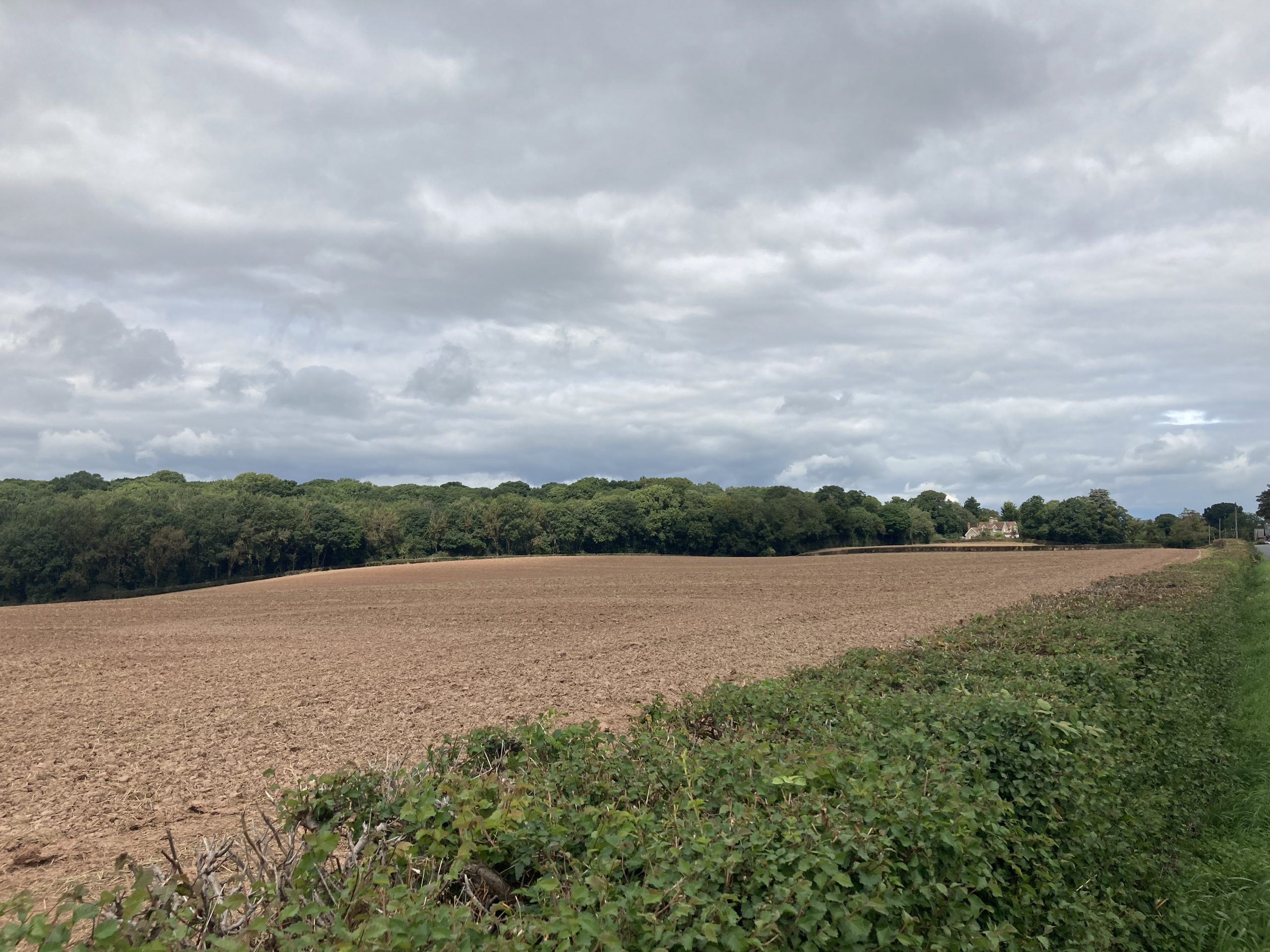 Undulating arable fields and woodlands